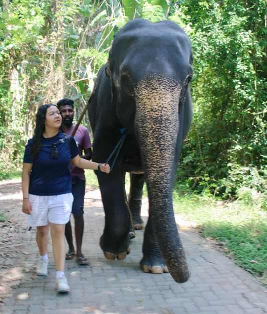 Elephant Walk Pinnawala