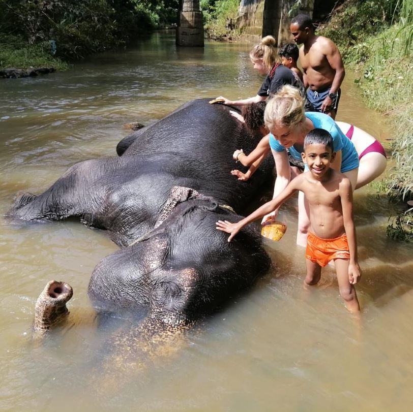 Elephant Bath Pinnawala