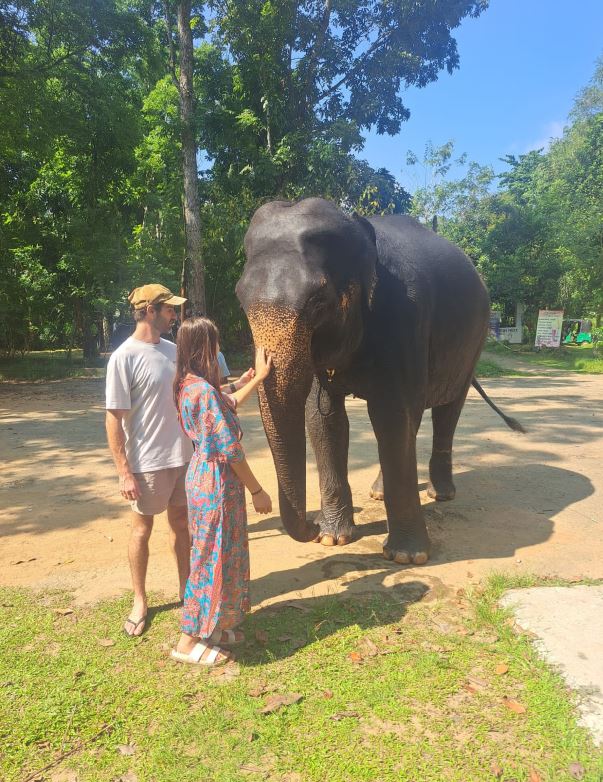 Pinnawala Elephant Feed