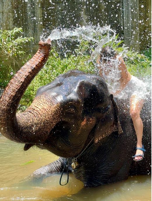 Elephant Bath Pinnawala