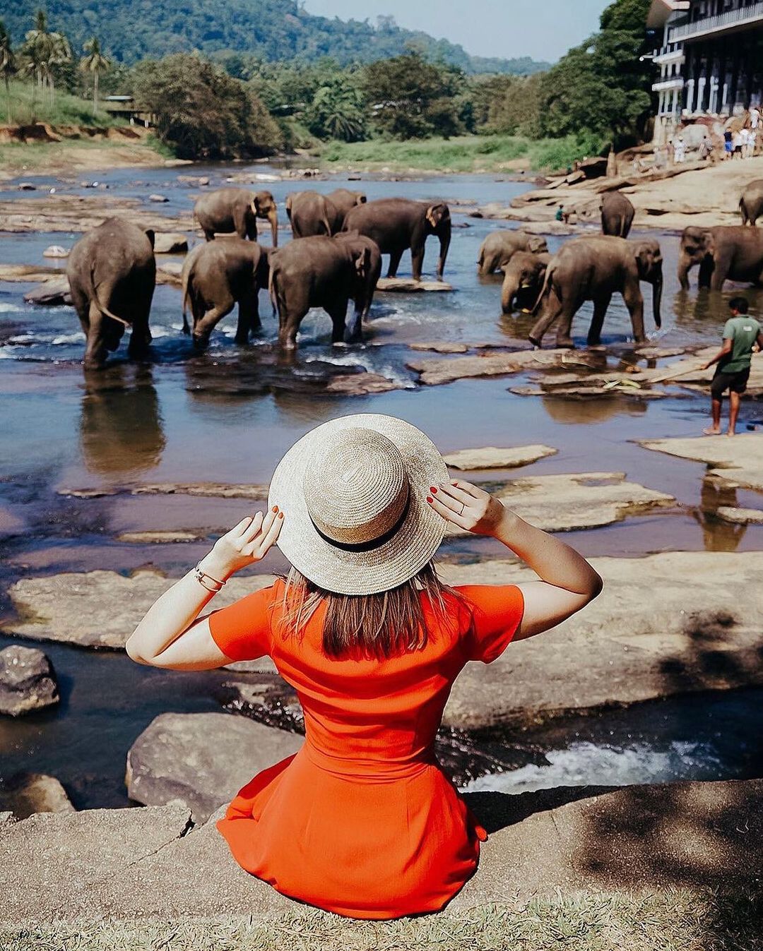 Elephant Sanctuary Sri Lanka