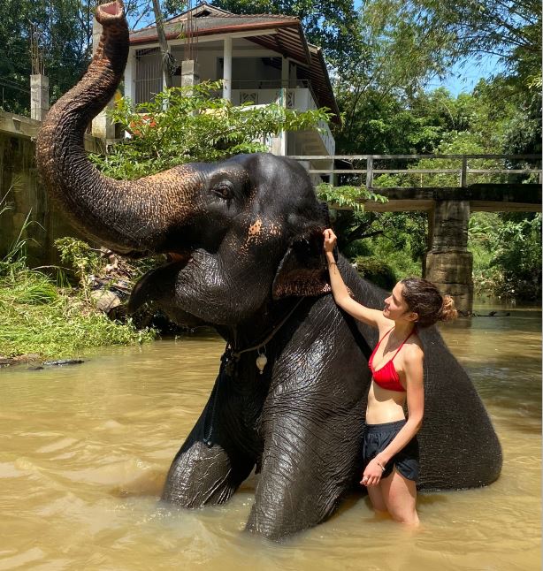 Happy Elephant Walk & Bath Program
