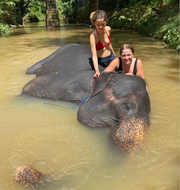 Happy Elephant Walk & Bath Program