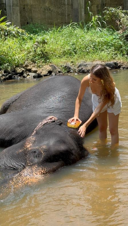 Pinnawala Elephant Walk - Private Project