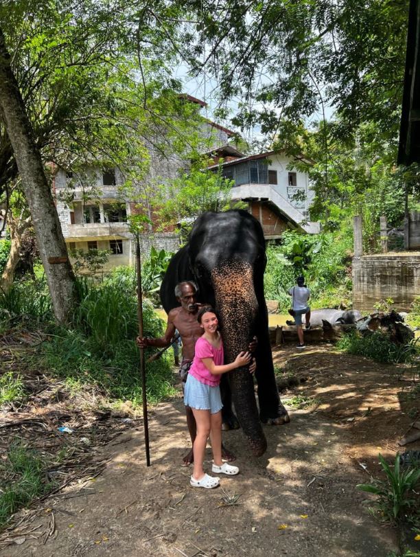 Pinnawala Elephant Walk - Private Project