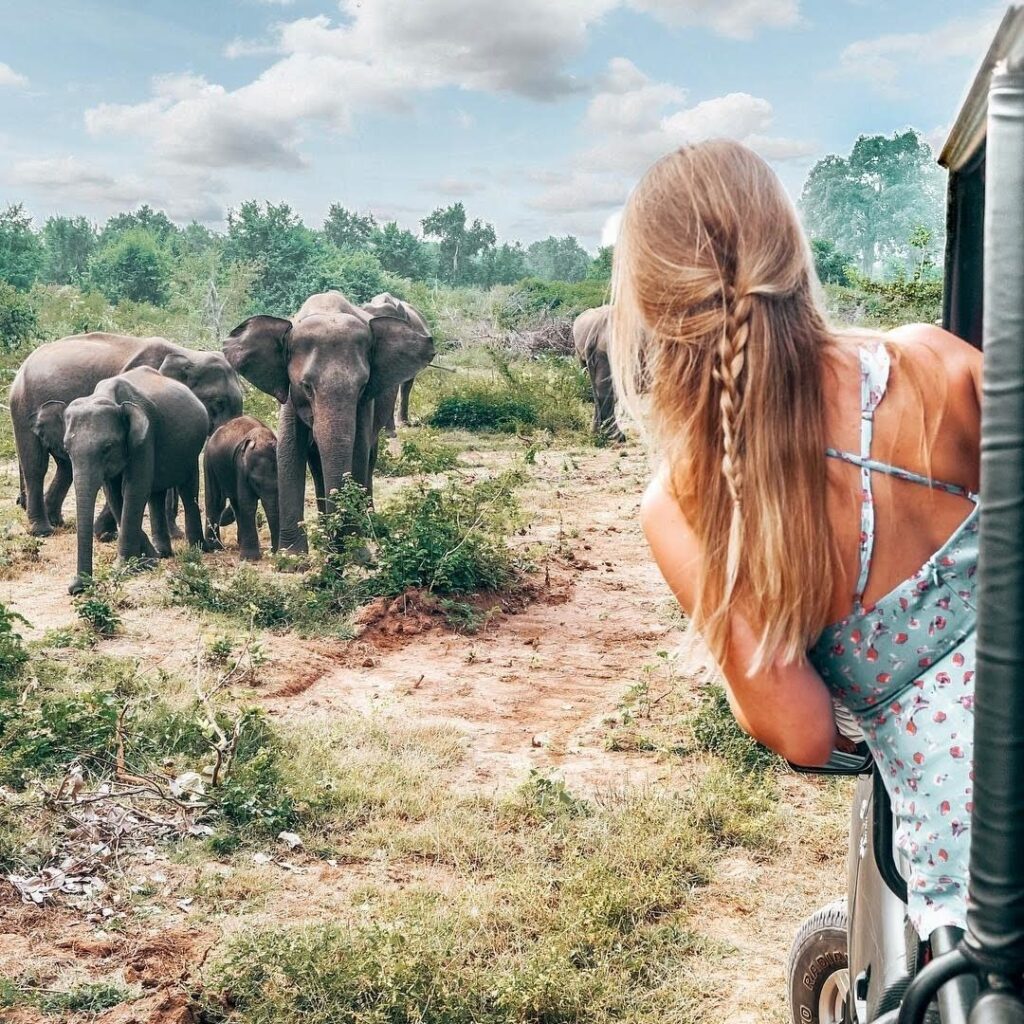 Yala National park Safari Sri Lanka
