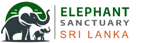 Elephant Sanctuary Sri Lanka