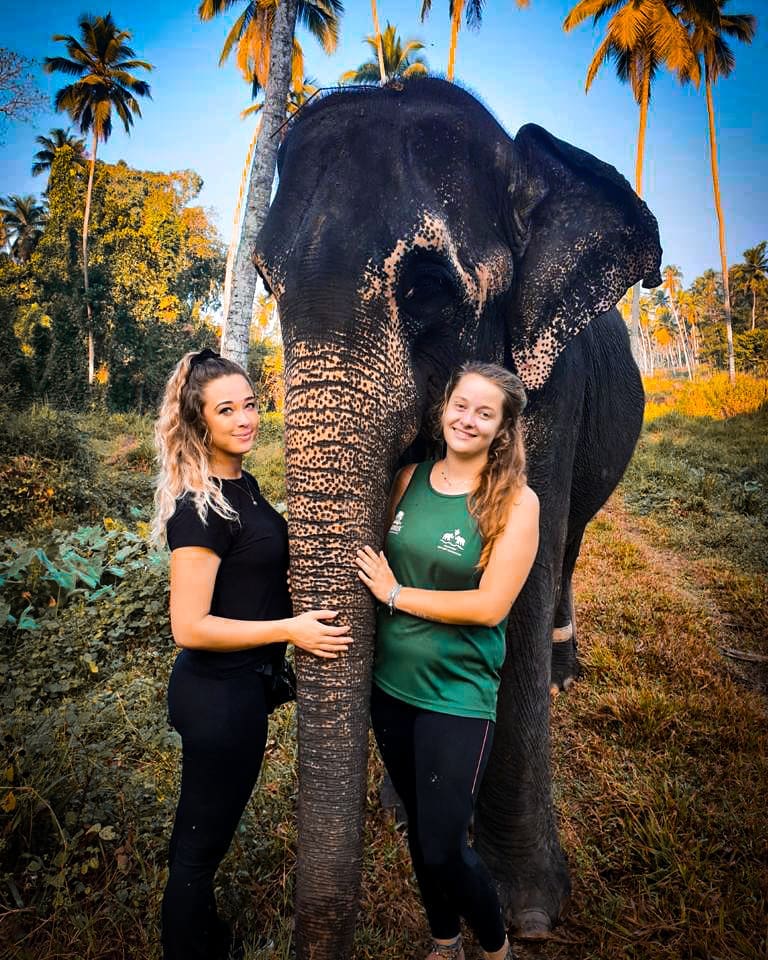 Pinnawala Elephant